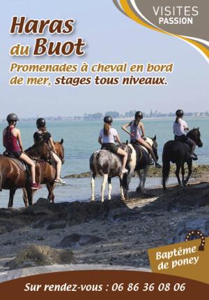 Carte Visites Passion le Haras du Buot près de Saint-Malo