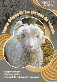 Carte Visites Passion La Grange au Mohair dans le Calvados