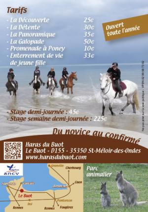 Carte Visites Passion balade à cheval avec le haras du buot en Bretagne