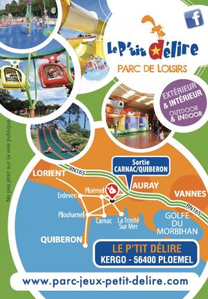 Carte Visites Passion le Ptit délire à Ploemel