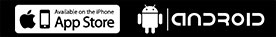 logo google store
